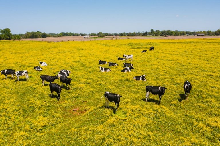 yem-hammaddesi-lojistiği yem hammaddesi lojistiği